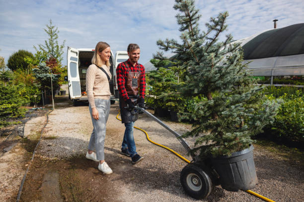 Best Residential Tree Removal  in Bermuda Run, NC